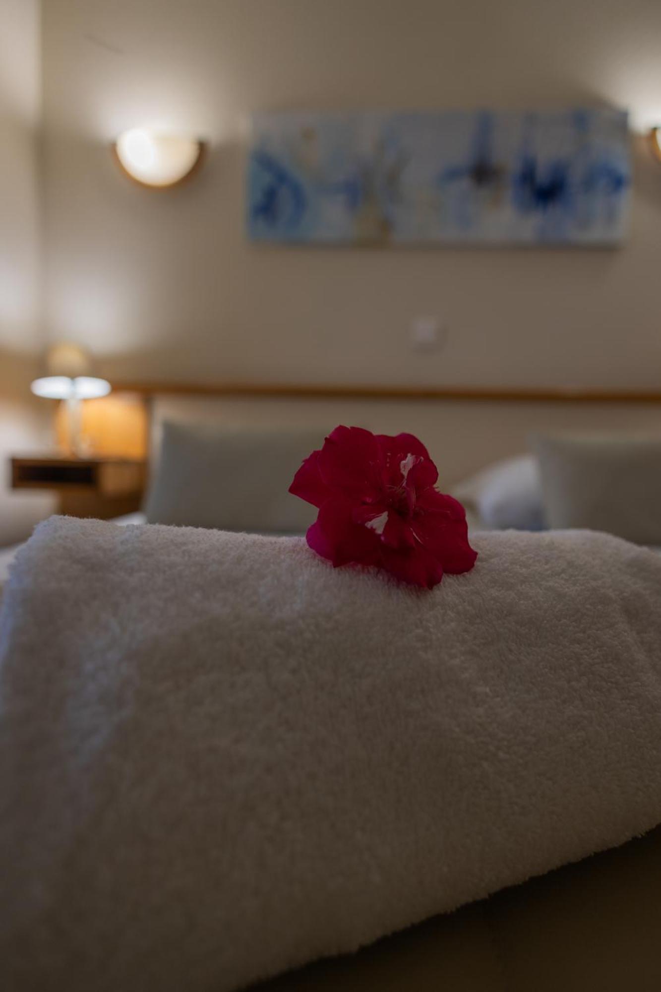 Hotel Logis Des Cretes De Pignols Moissac Esterno foto